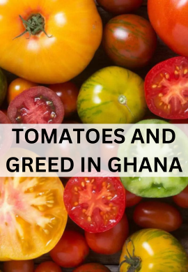 Ghana's Bountiful Harvest: Cultivating Tomatoes and Greens.